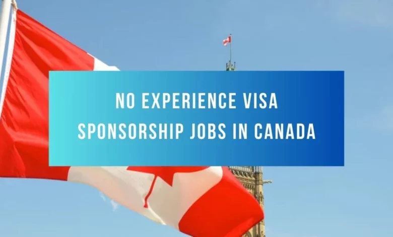 No Experience Visa Sponsorship Jobs in Canada